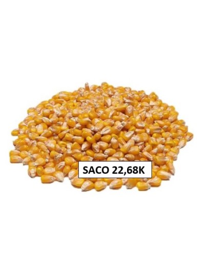 MAIZ PALOMITAS CRUDO SACO...